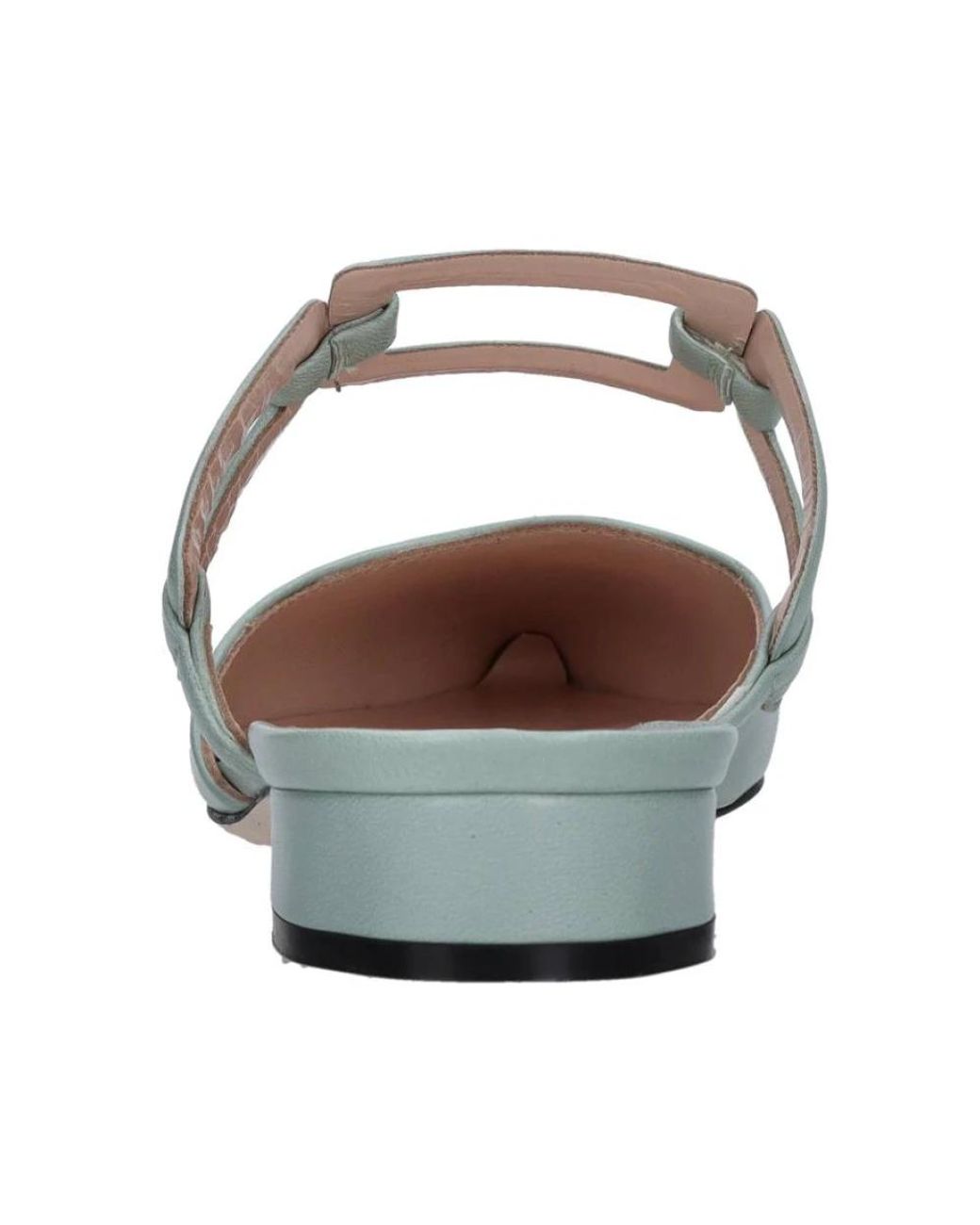 Evaluna Blue Mules