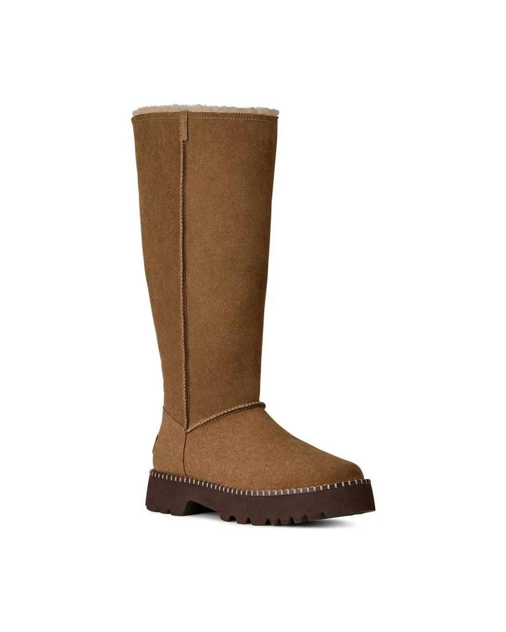 Winter Boots Ugg en coloris Brown