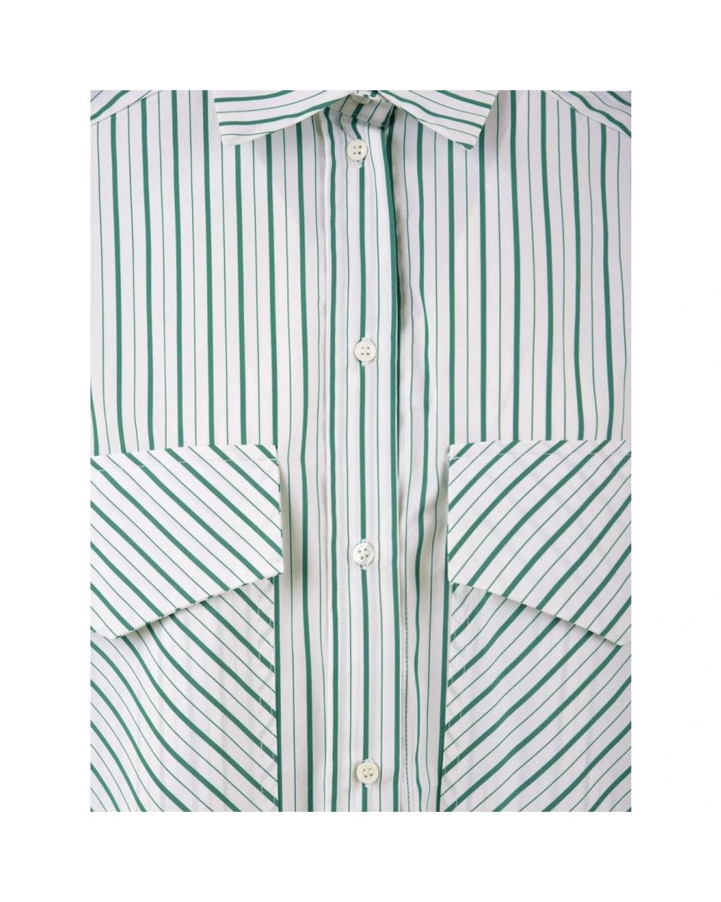 Beatrice B. Blue Shirts