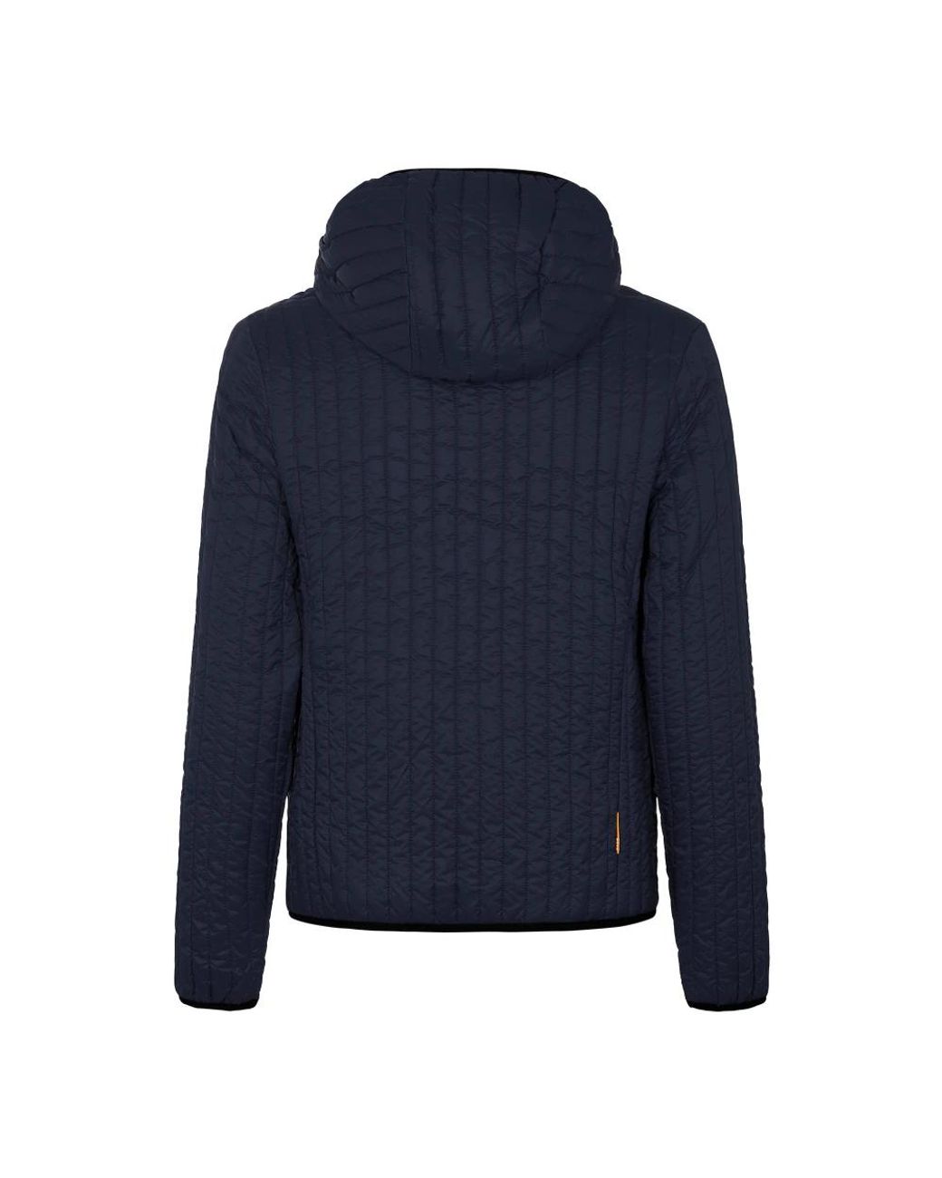 Suns Blue Light Jackets for men