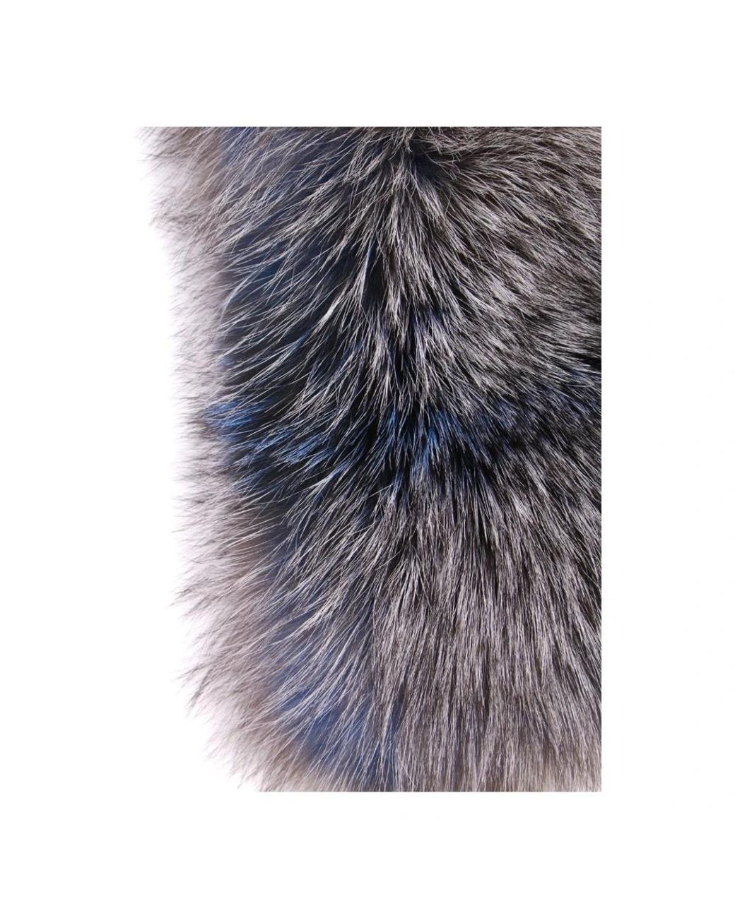 Philipp Plein Gray Scarves