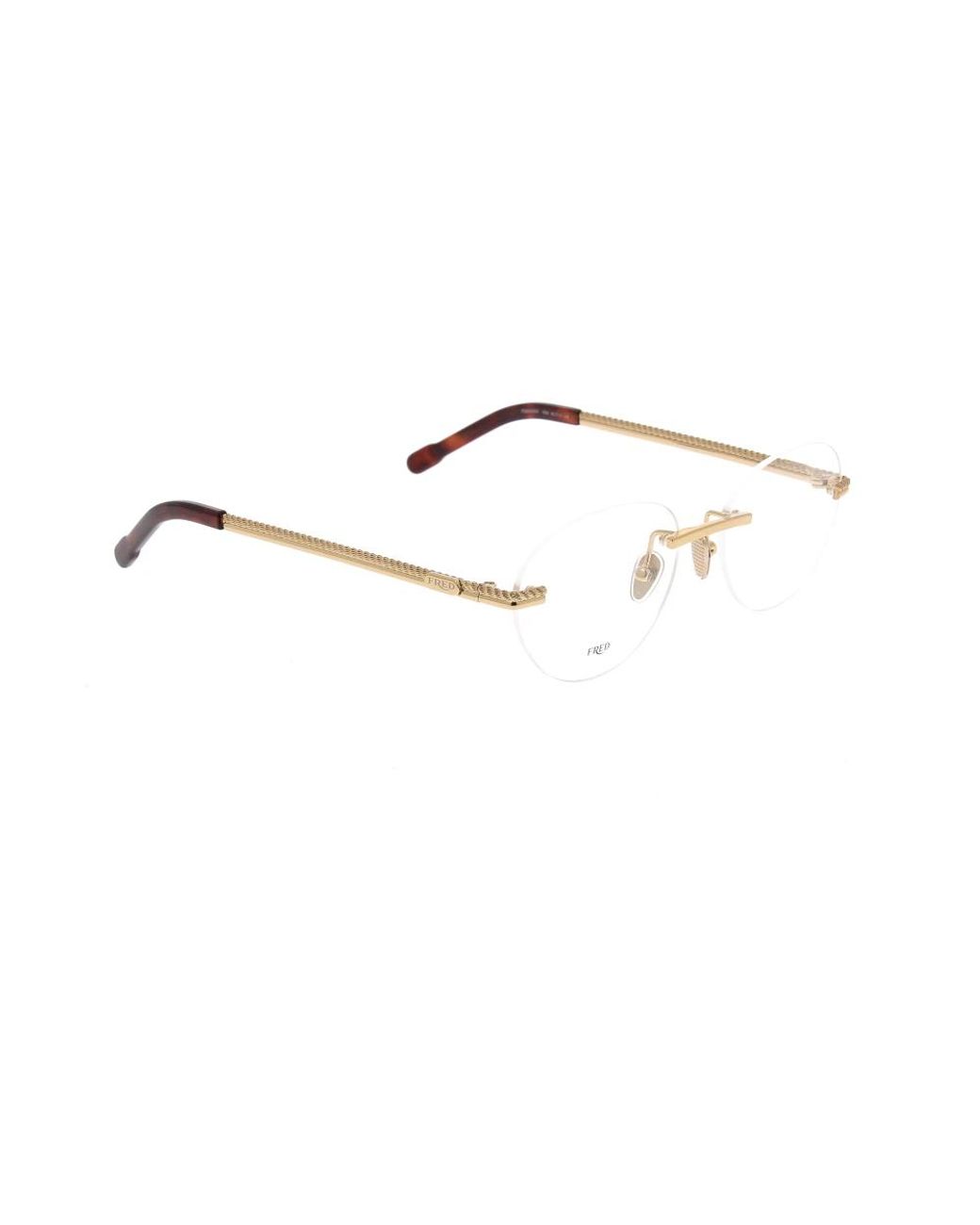 Fred Metallic Glasses