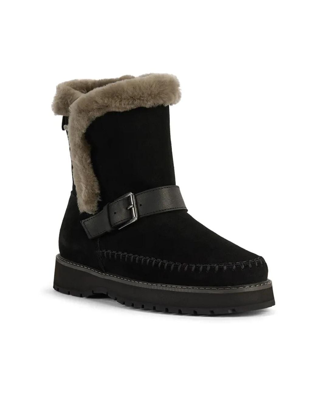Winter Boots EMU en coloris Black