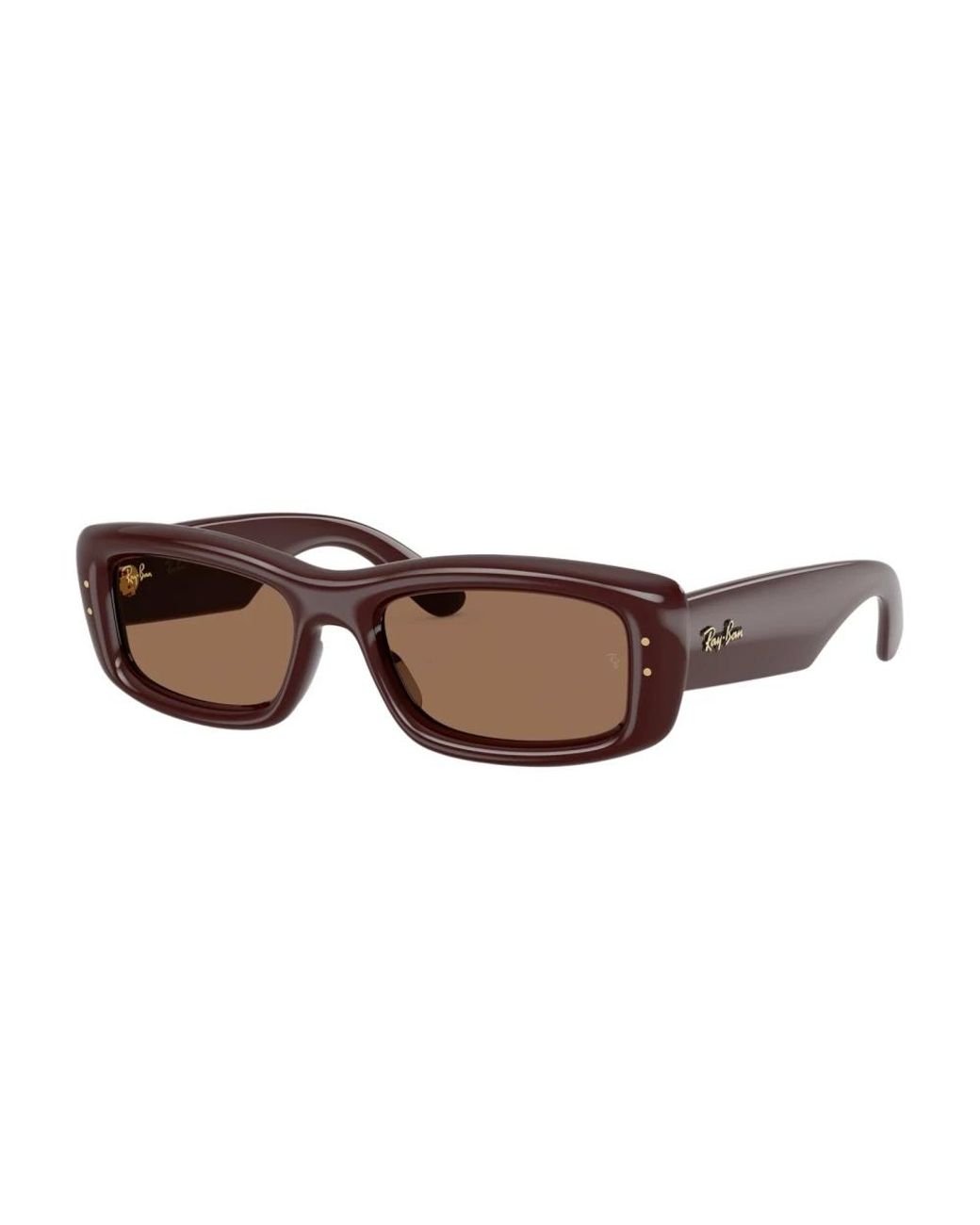 Ray-Ban Brown Sunglasses