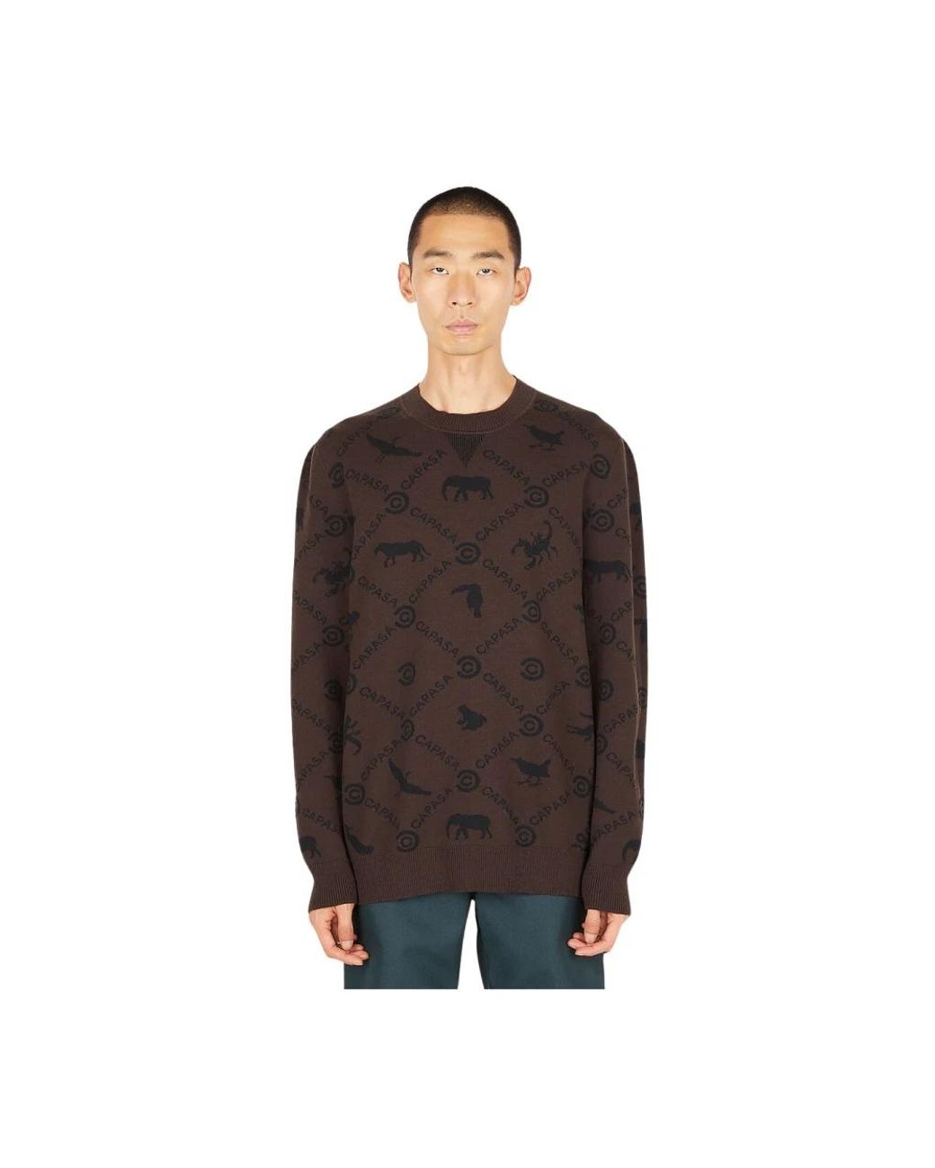 CAPASA MILANO Brown Round-Neck Knitwear for men