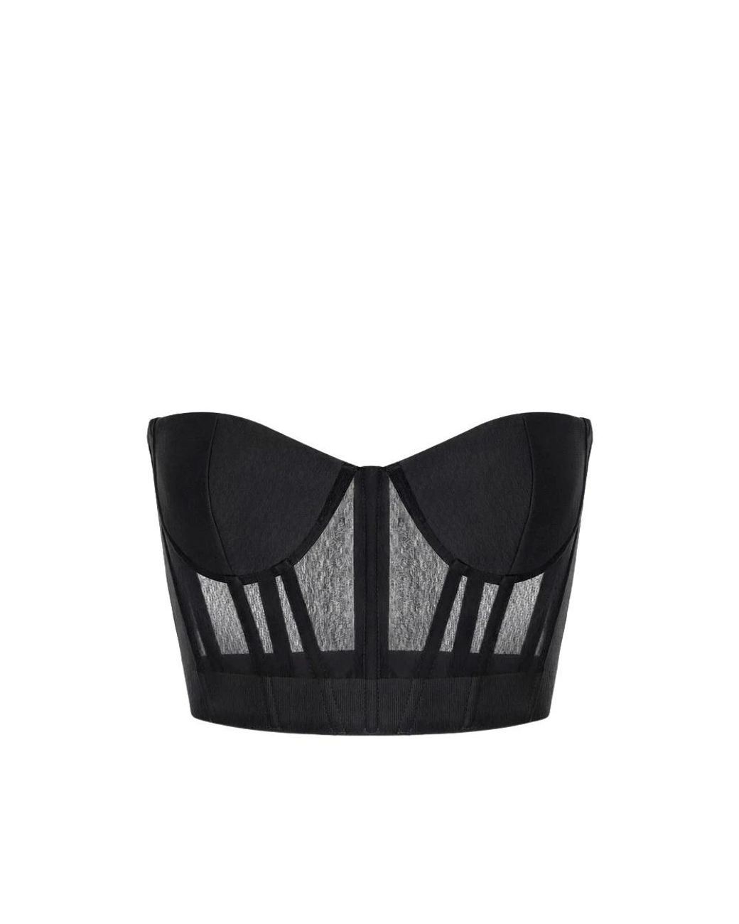 Elisabetta Franchi Black Mesh And Crêpe Bustier Top