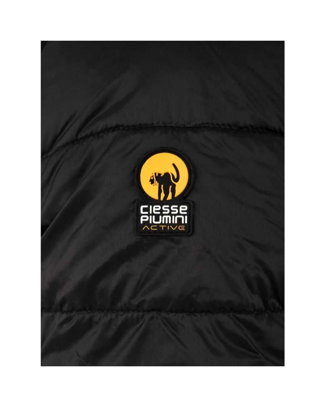 Ciesse Piumini Black Down Jackets for men