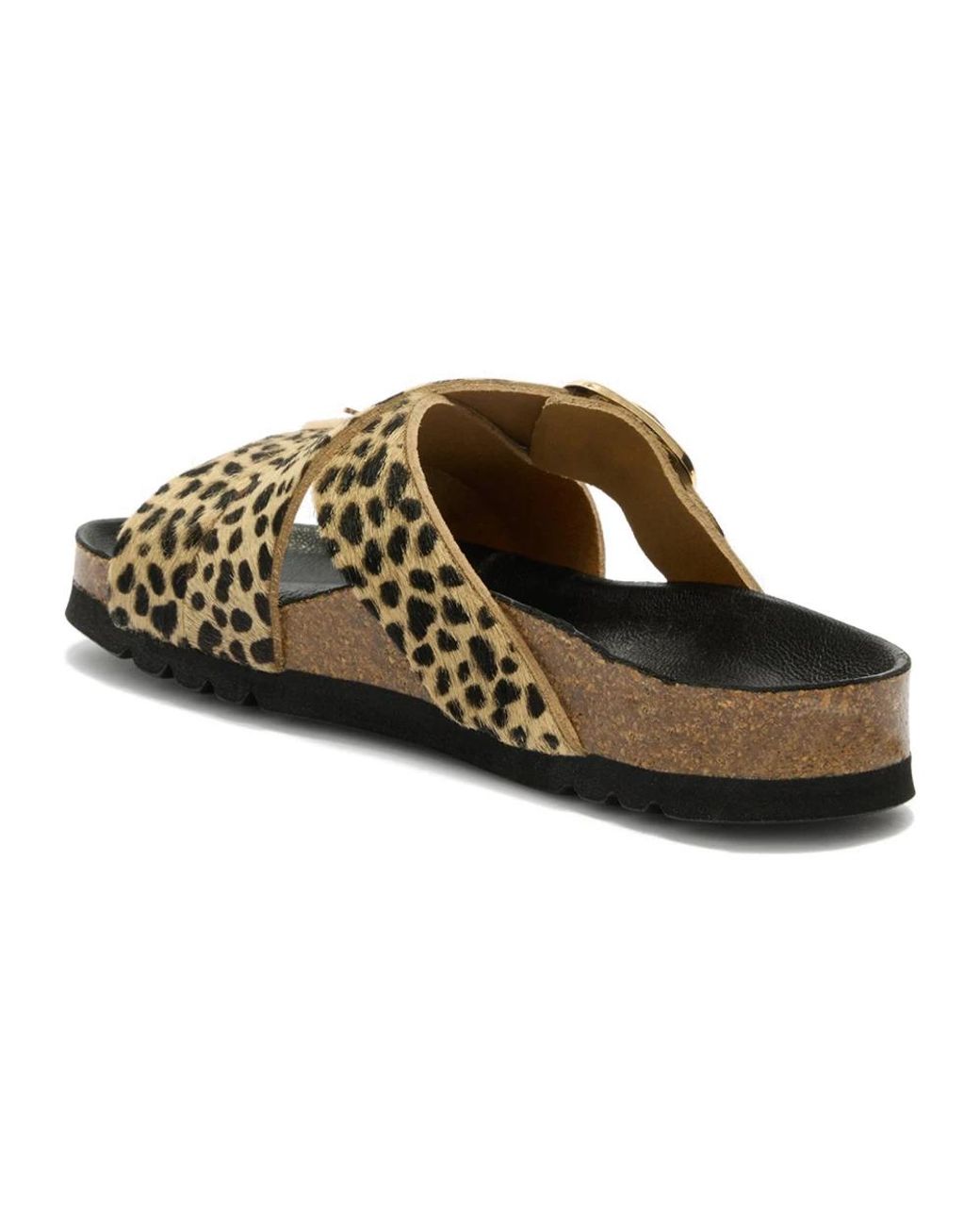 Sliders di Scholl in Brown