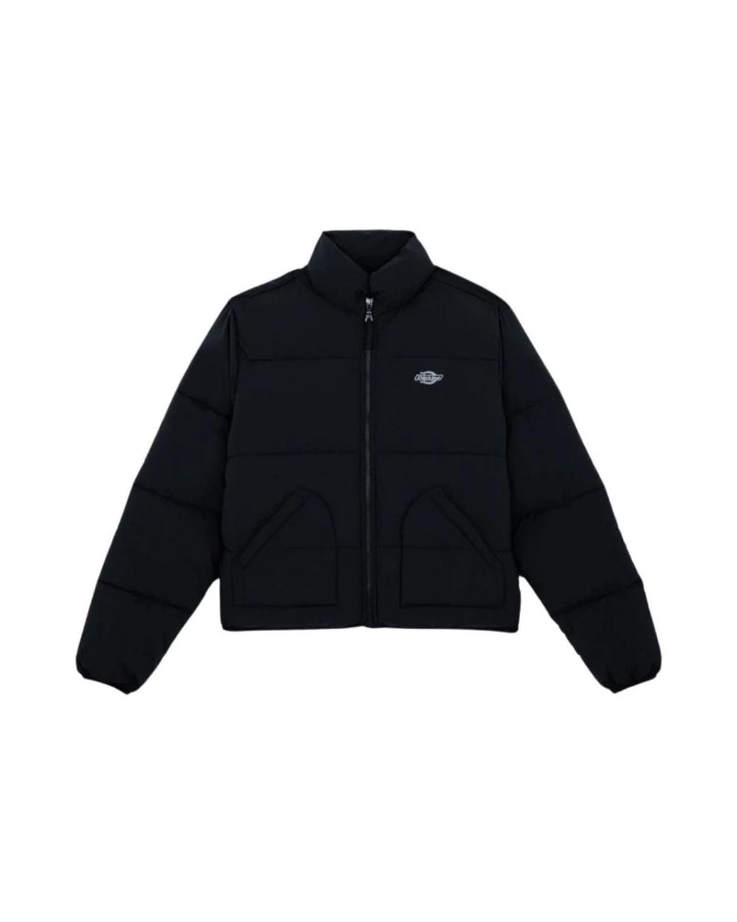 Dickies Blue Winter Jackets