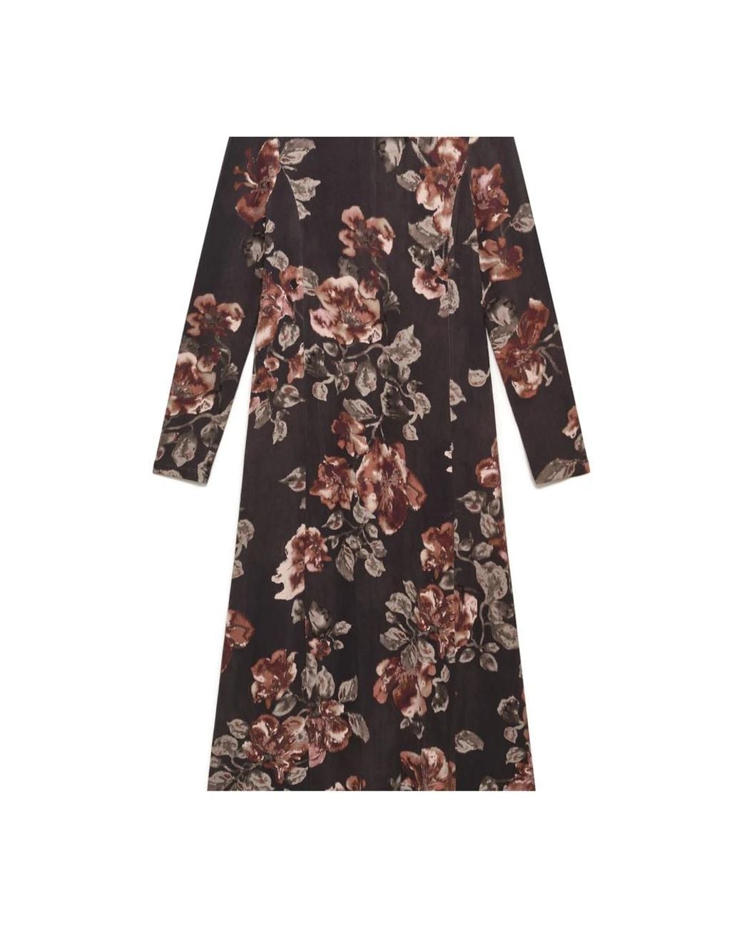 Maliparmi Brown Midi Dresses