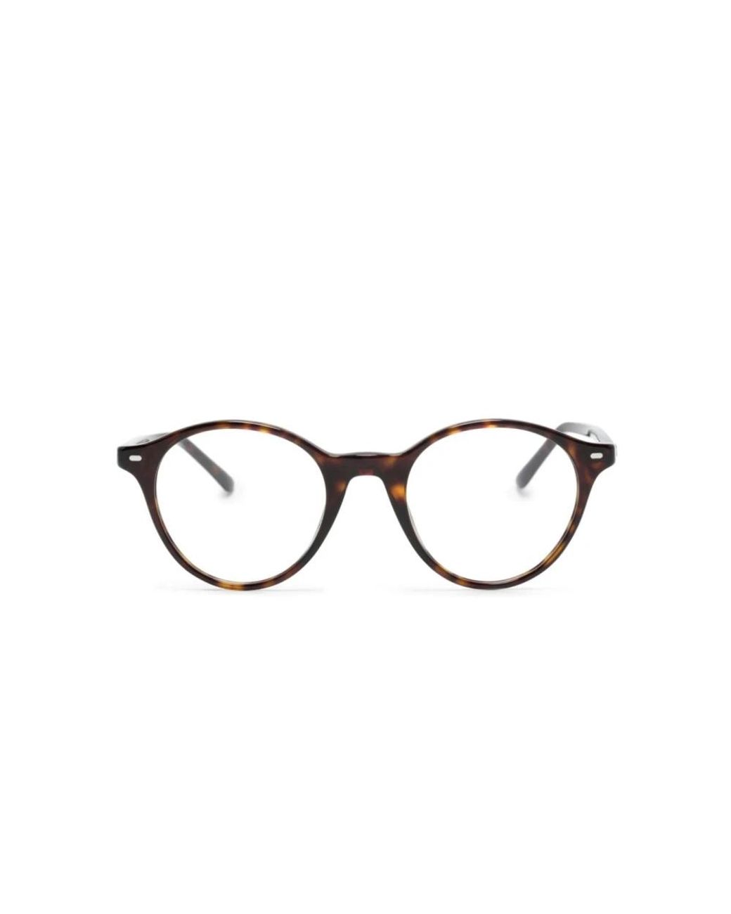 Ray-Ban Brown Glasses
