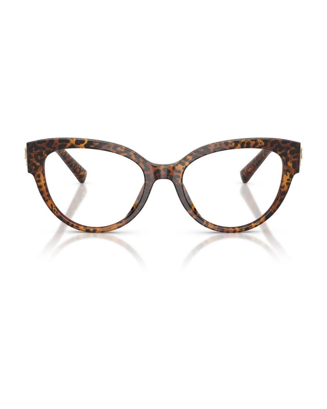 Dolce & Gabbana Brown Glasses