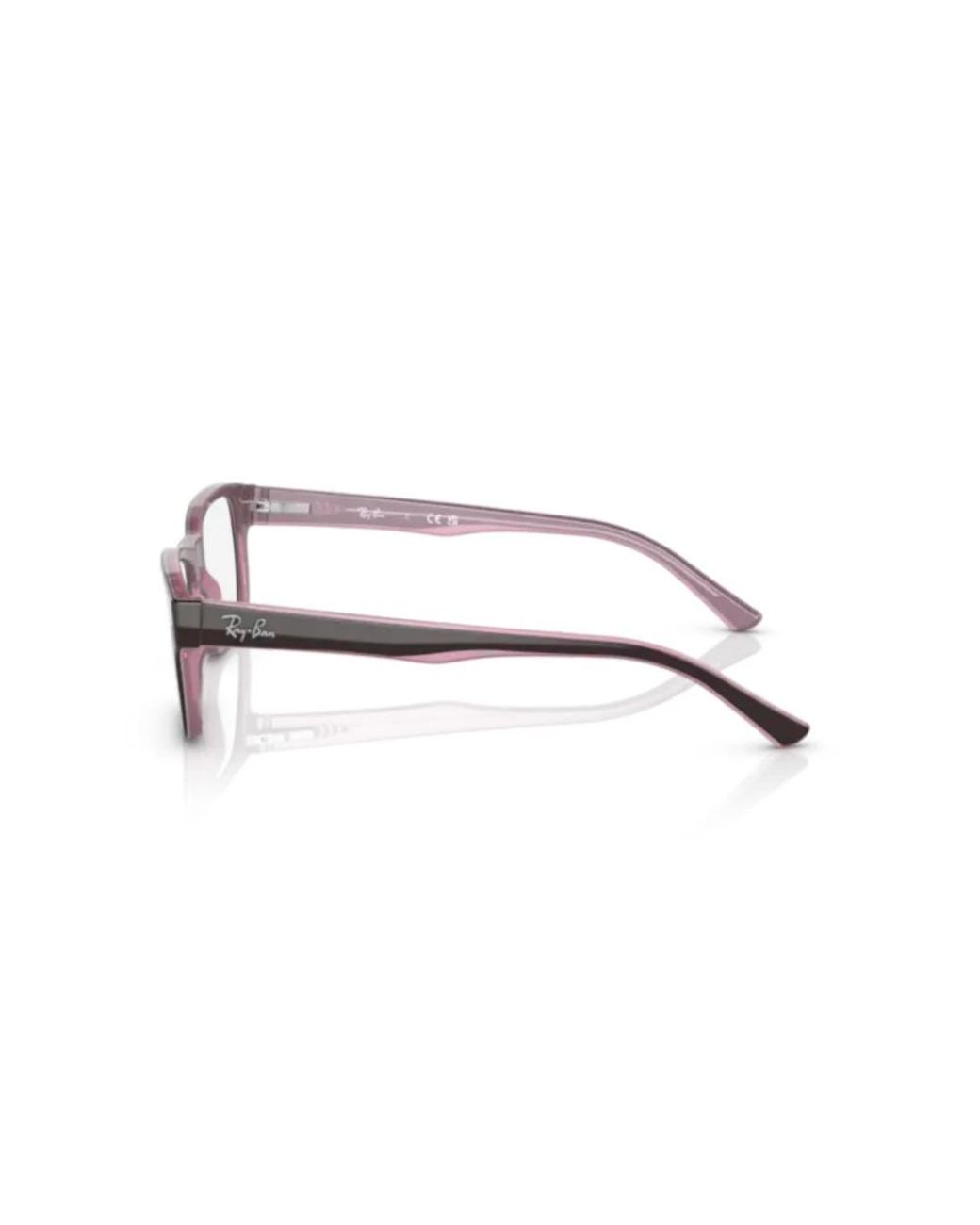 Ray-Ban Brown Glasses