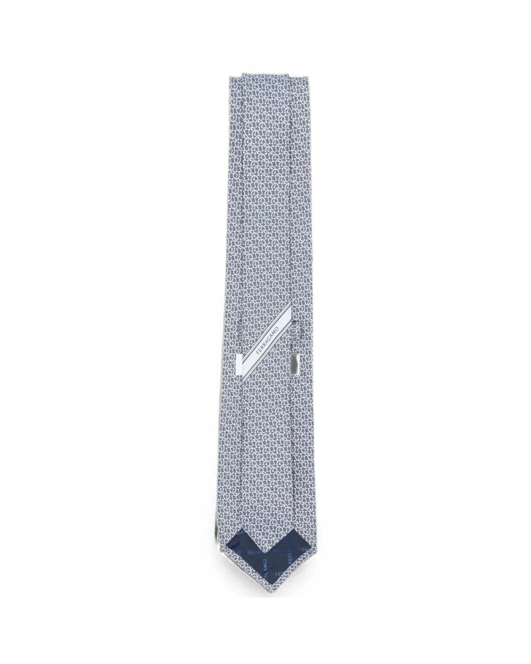 Ties Ferragamo de hombre de color Gray