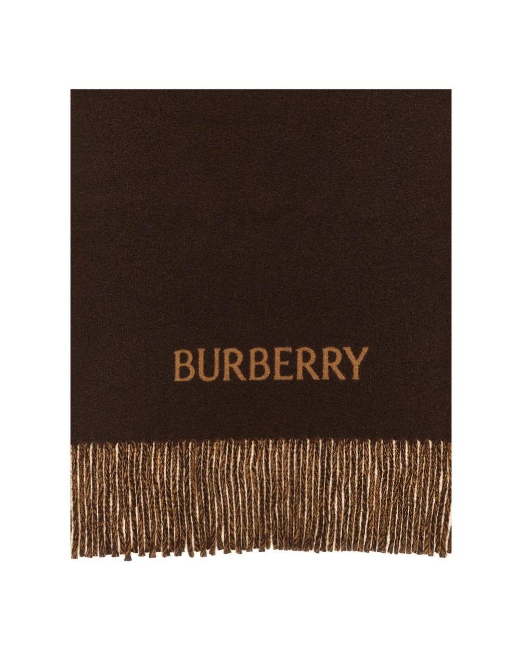 Burberry Brown Winter Scarves for men