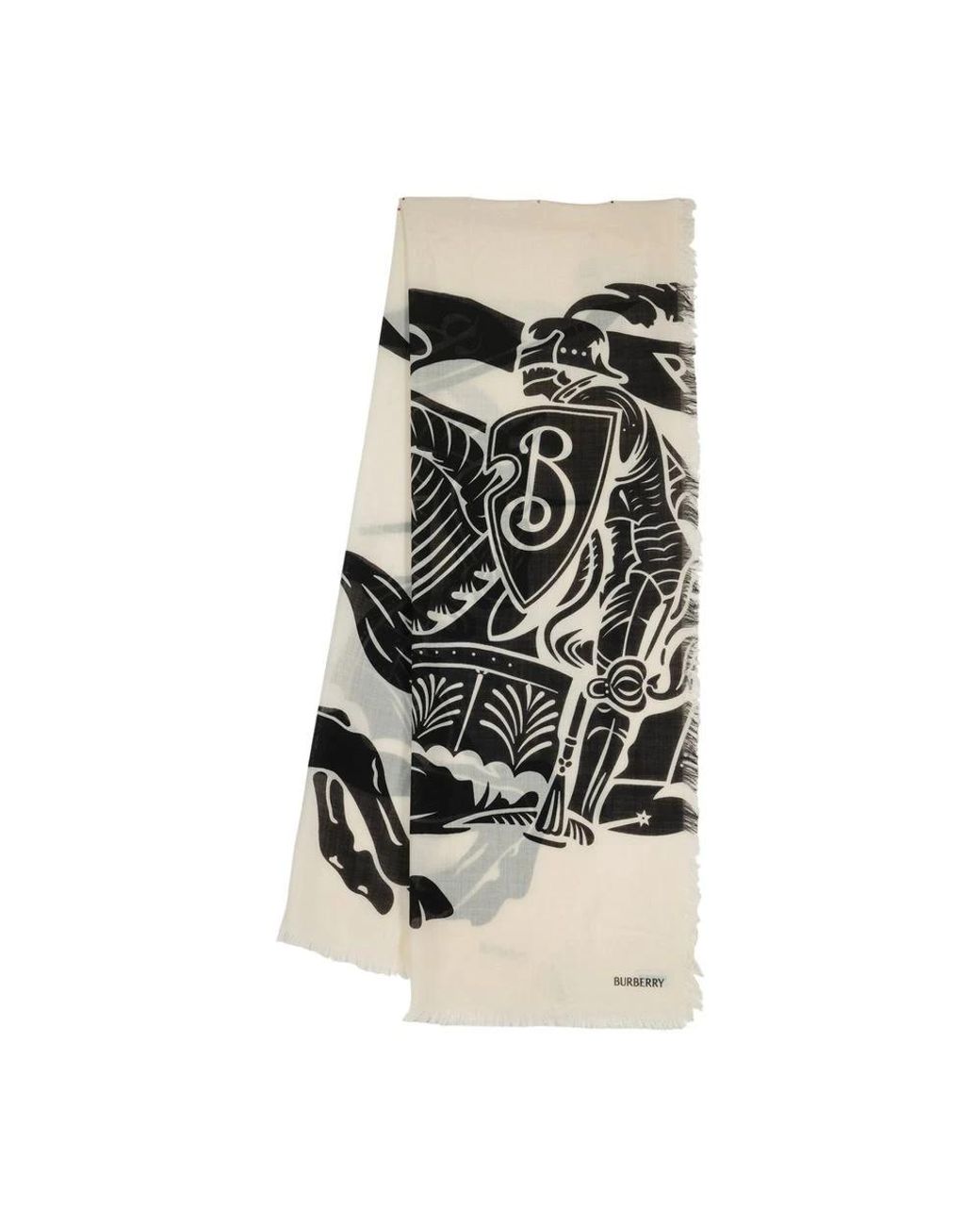 Burberry Black Winter Scarves