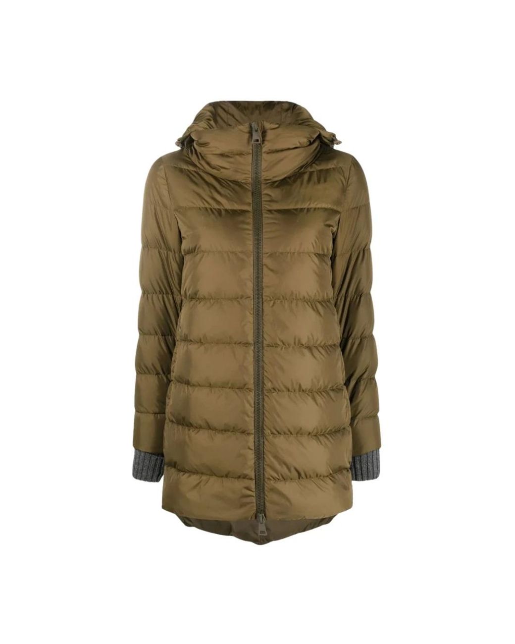 Winter Jackets Herno en coloris Green