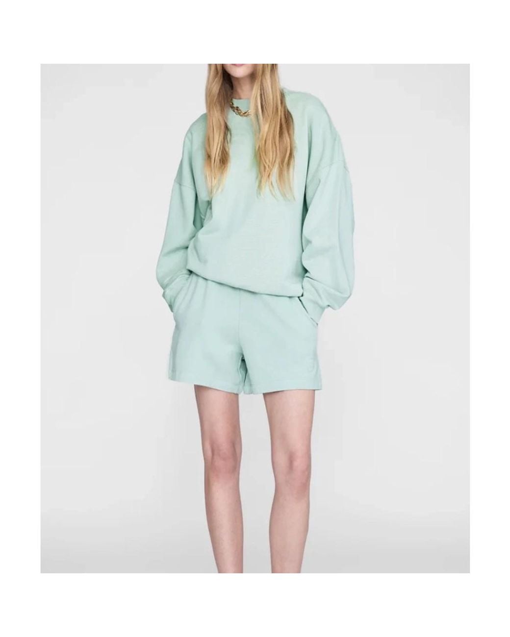 Anine Bing Blue Sweatshirts