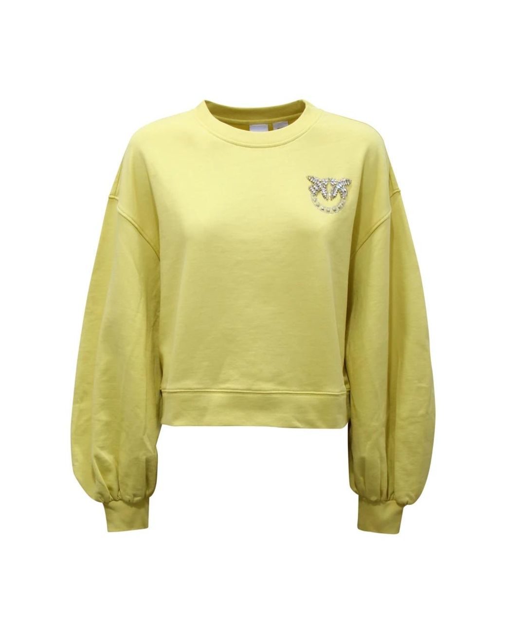 Pinko Ceresole Sweatshirt in het Green