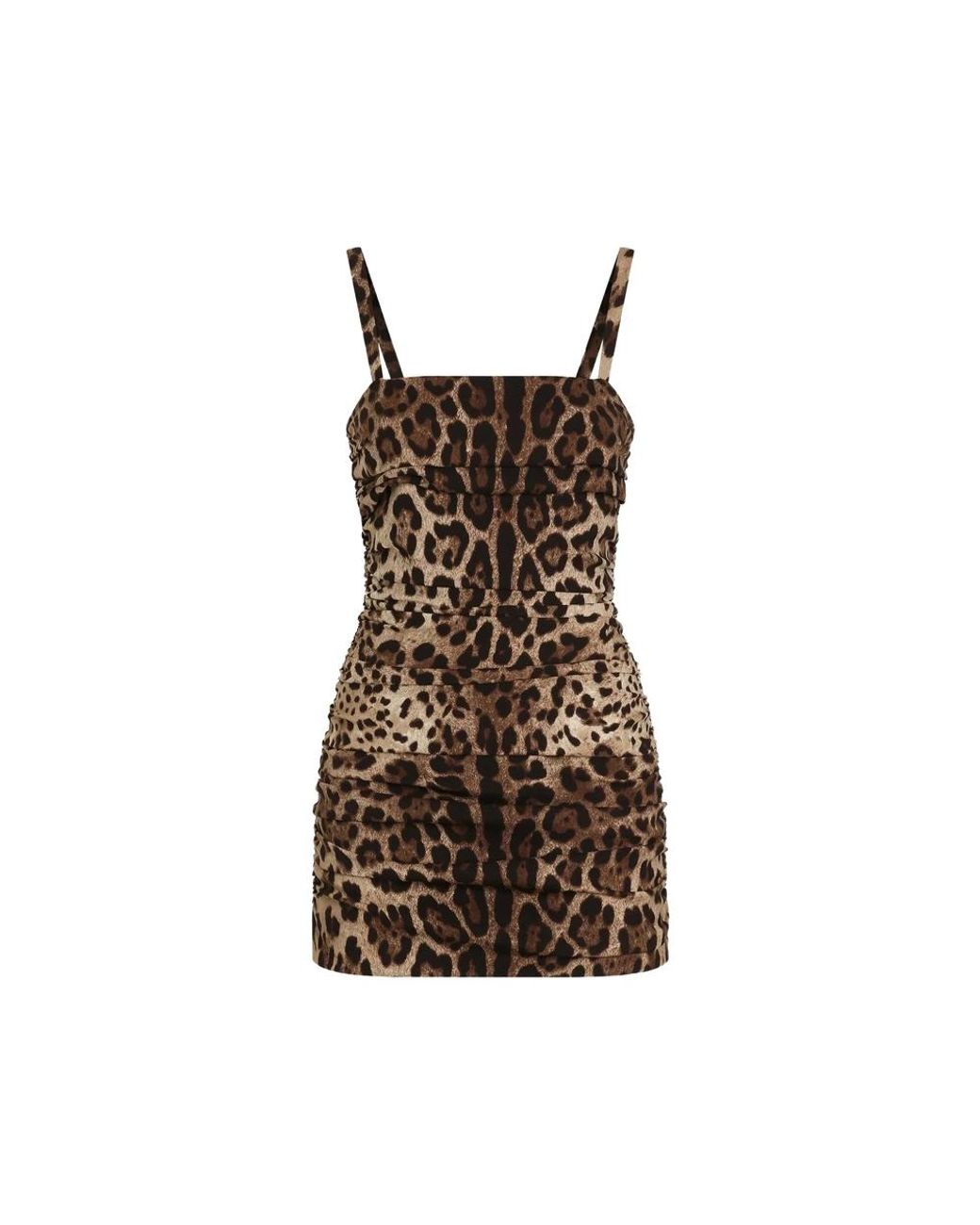 Dolce & Gabbana Brown Dolce & Gabbana Neutrals Dresses