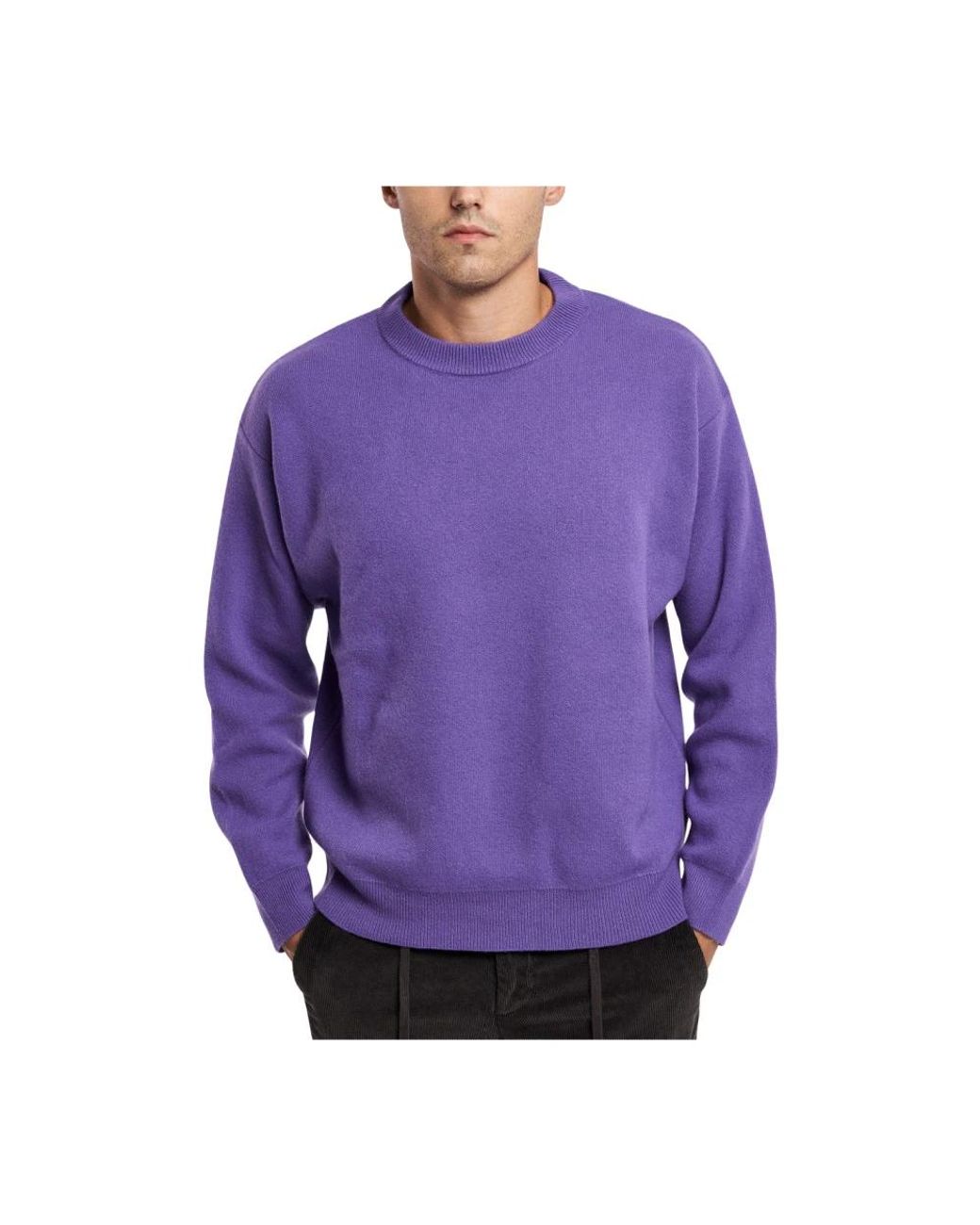 Daniele Fiesoli Purple Round-Neck Knitwear for men