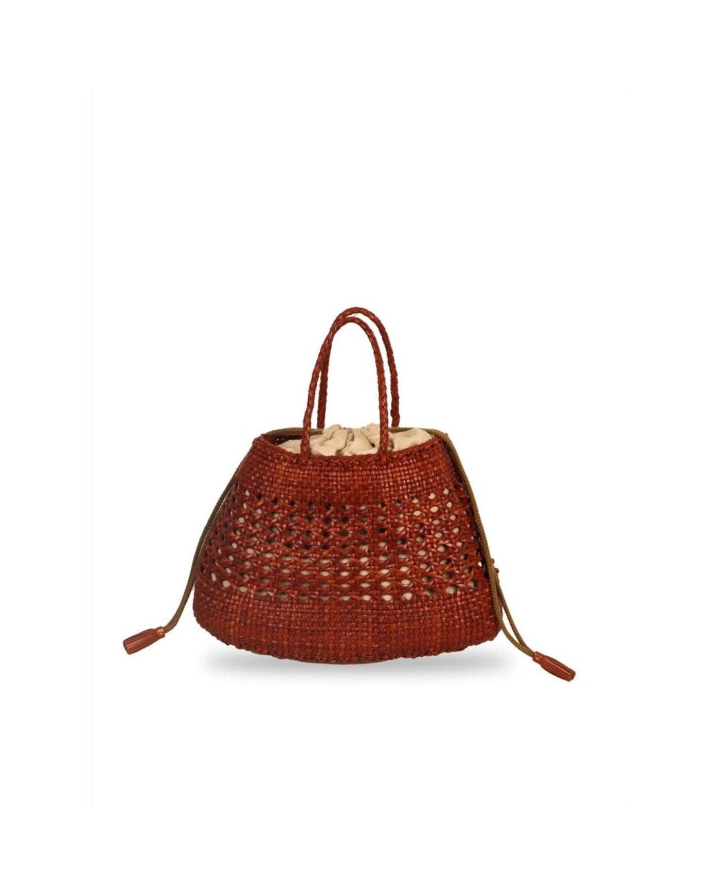 Handbags Dragon Diffusion de color Brown