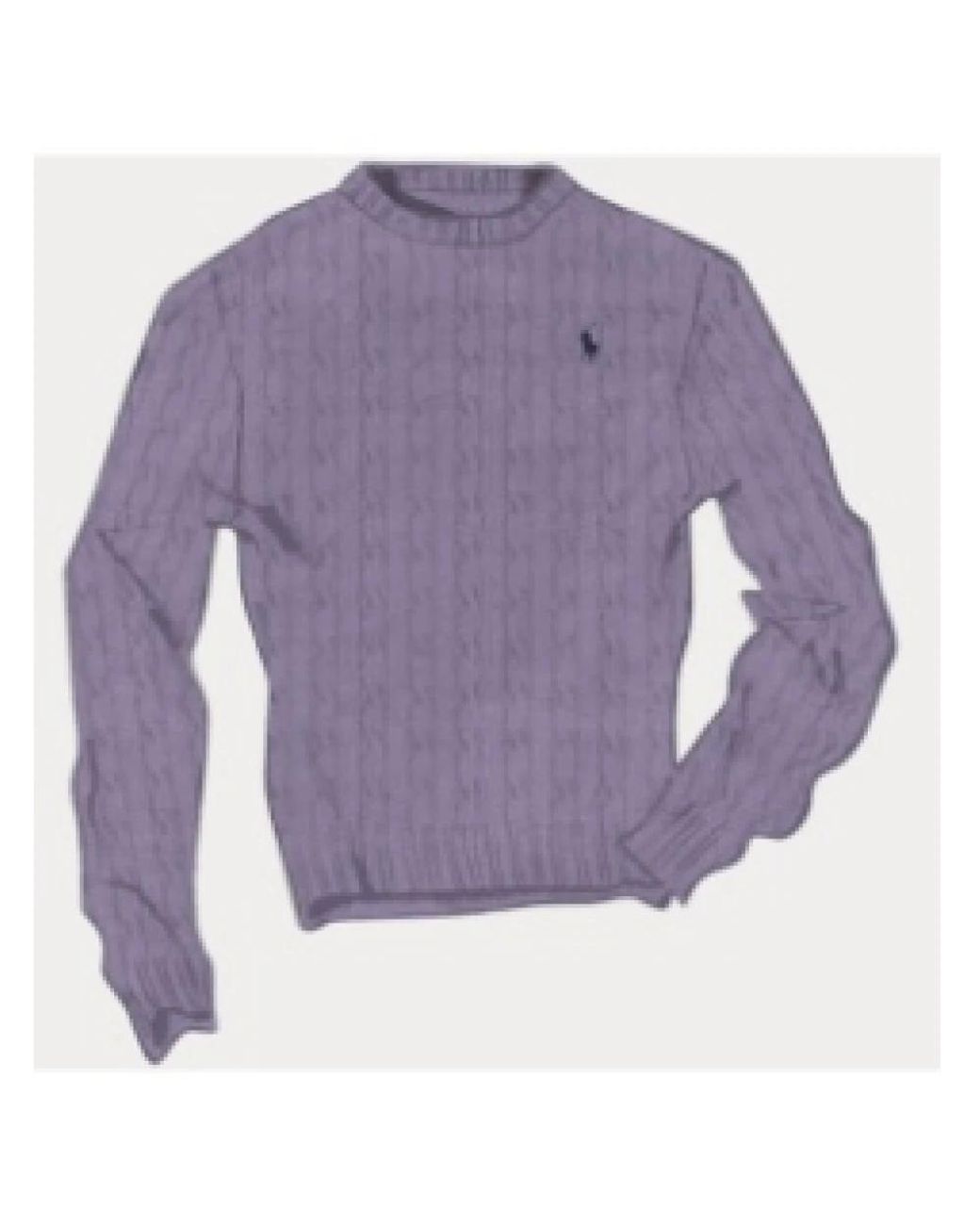 Polo Ralph Lauren Purple Round-Neck Knitwear for men