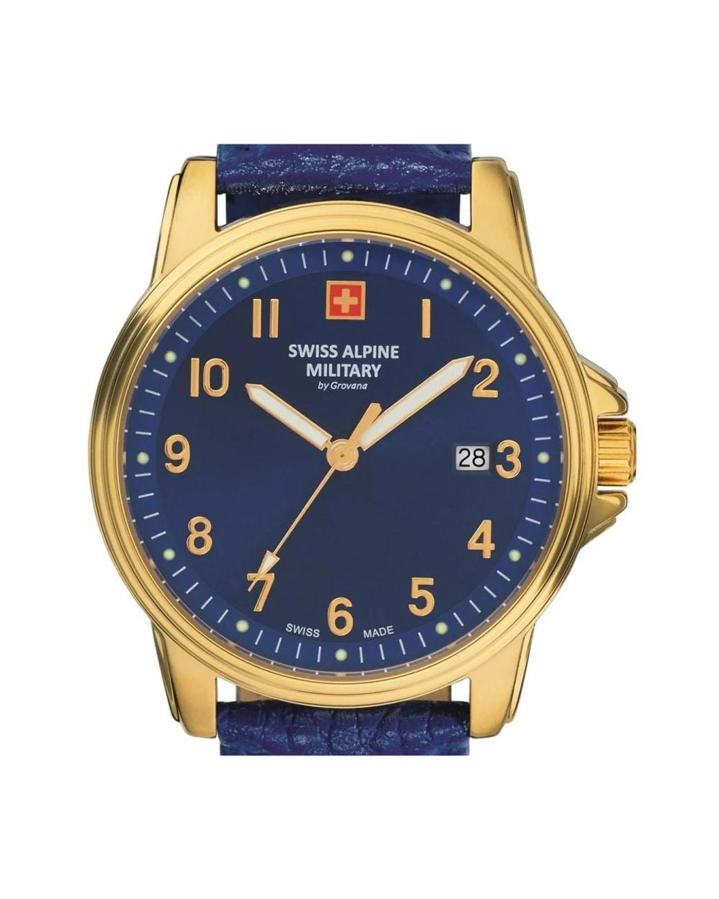 Swiss Alpine Military Blue Watches for men