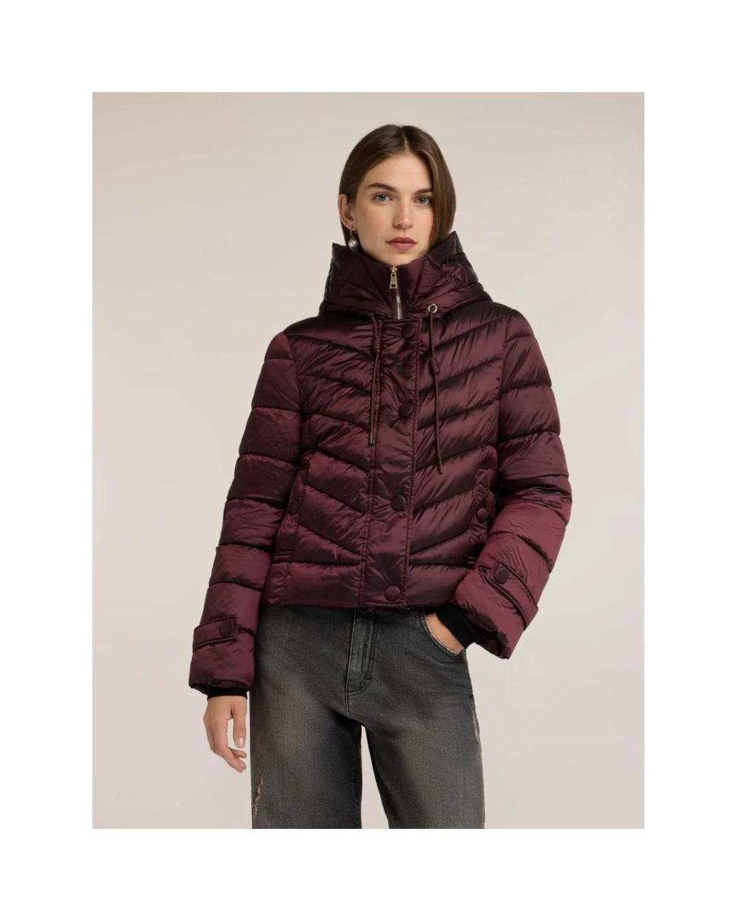 Winter Jackets mötivi de color Purple