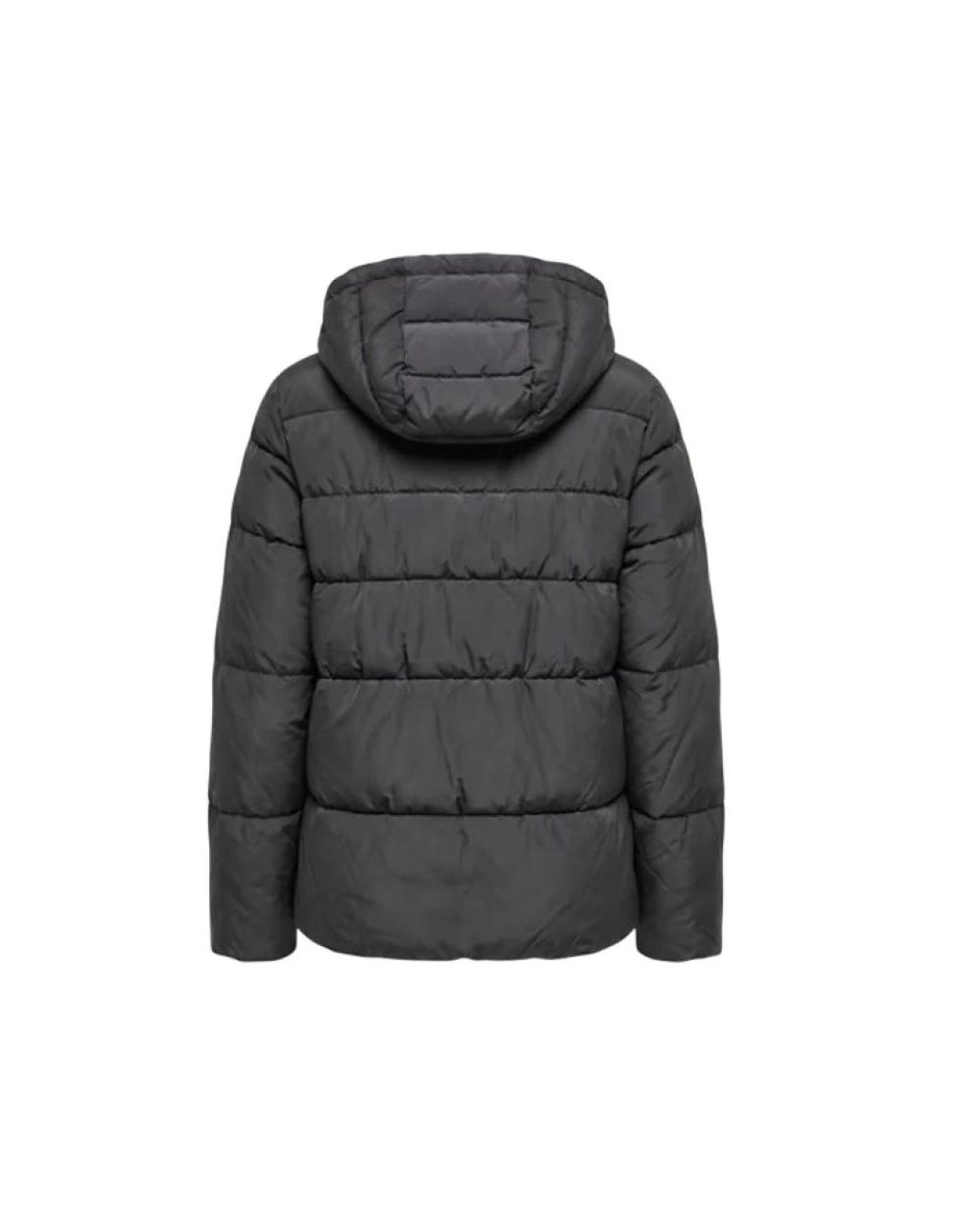Winter Jackets di Pinko in Black