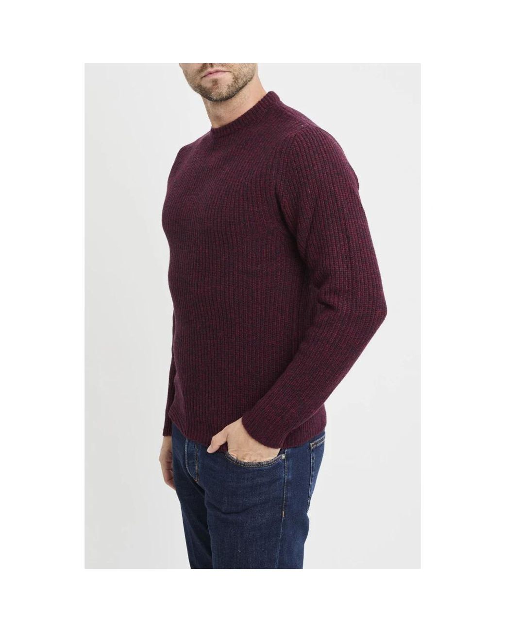 Daniele Fiesoli Purple Round-Neck Knitwear for men