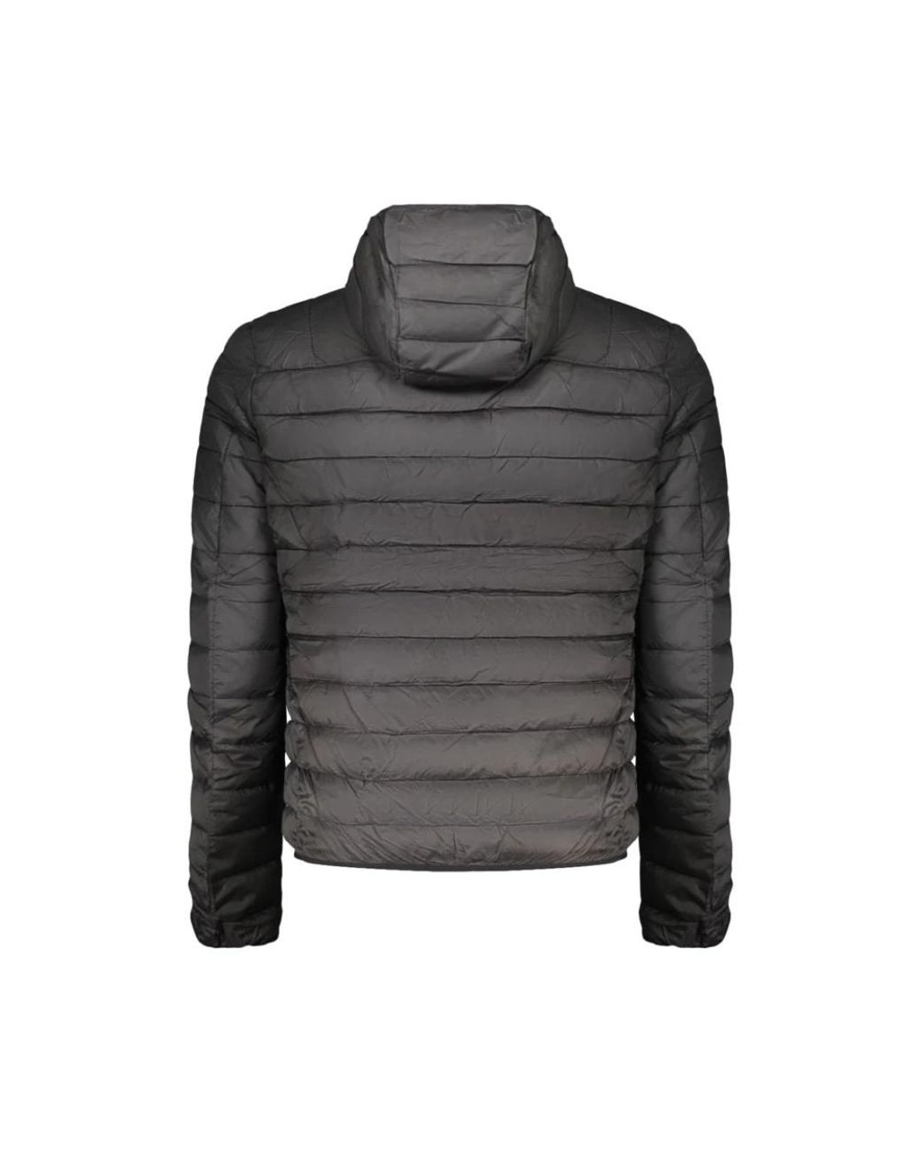 Winter Jackets Roberto Cavalli pour homme en coloris Gray