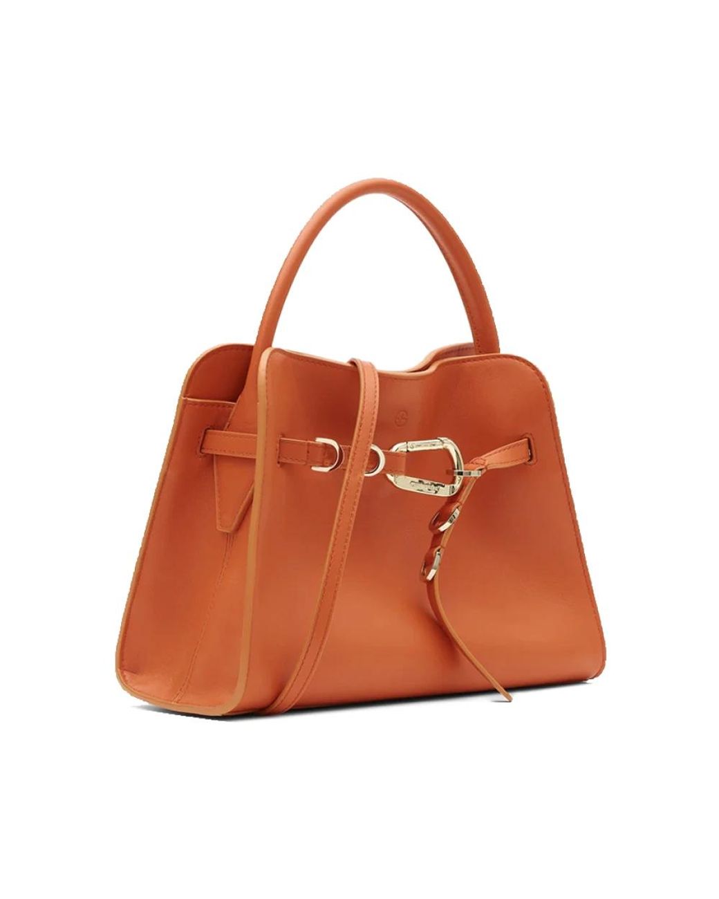 Francesco Biasia Brown Handbags