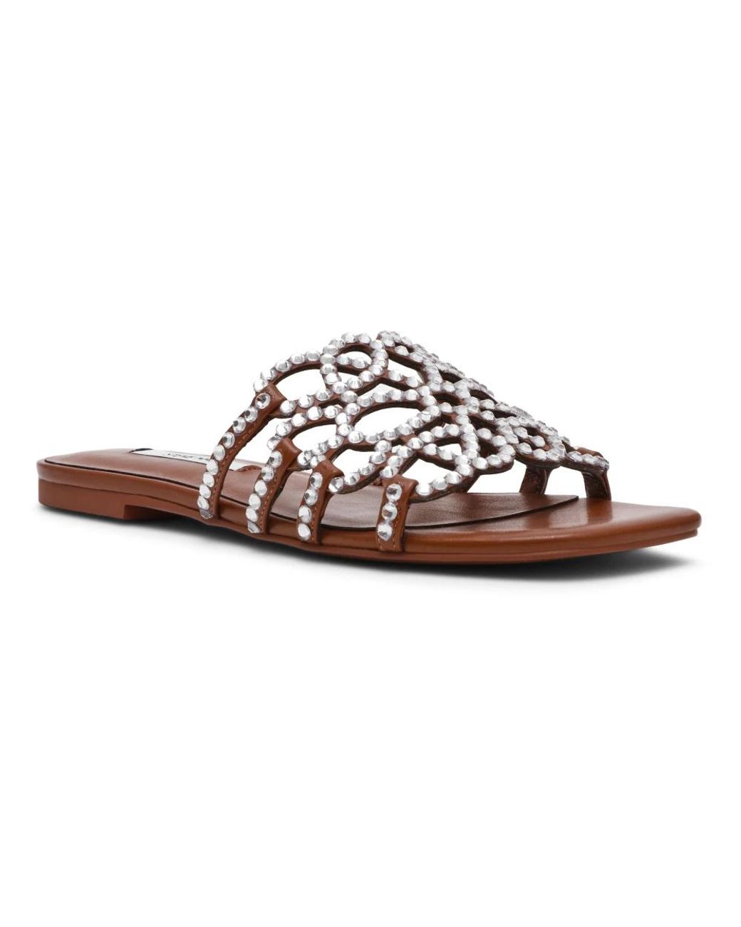 Steve Madden Brown Brandy Slider