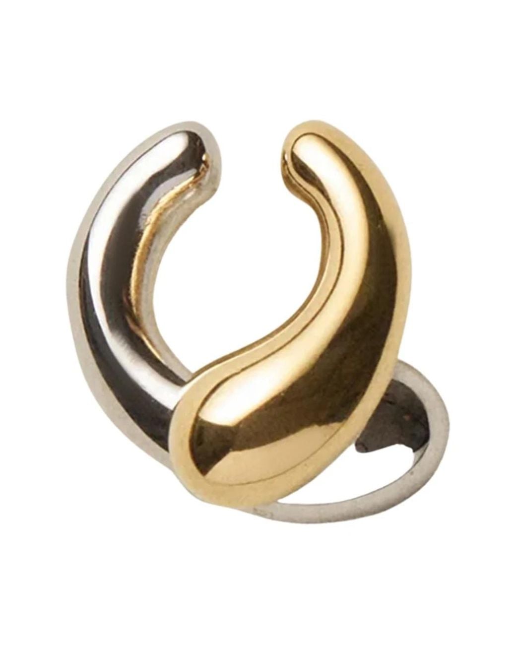 Panconesi Metallic Earrings