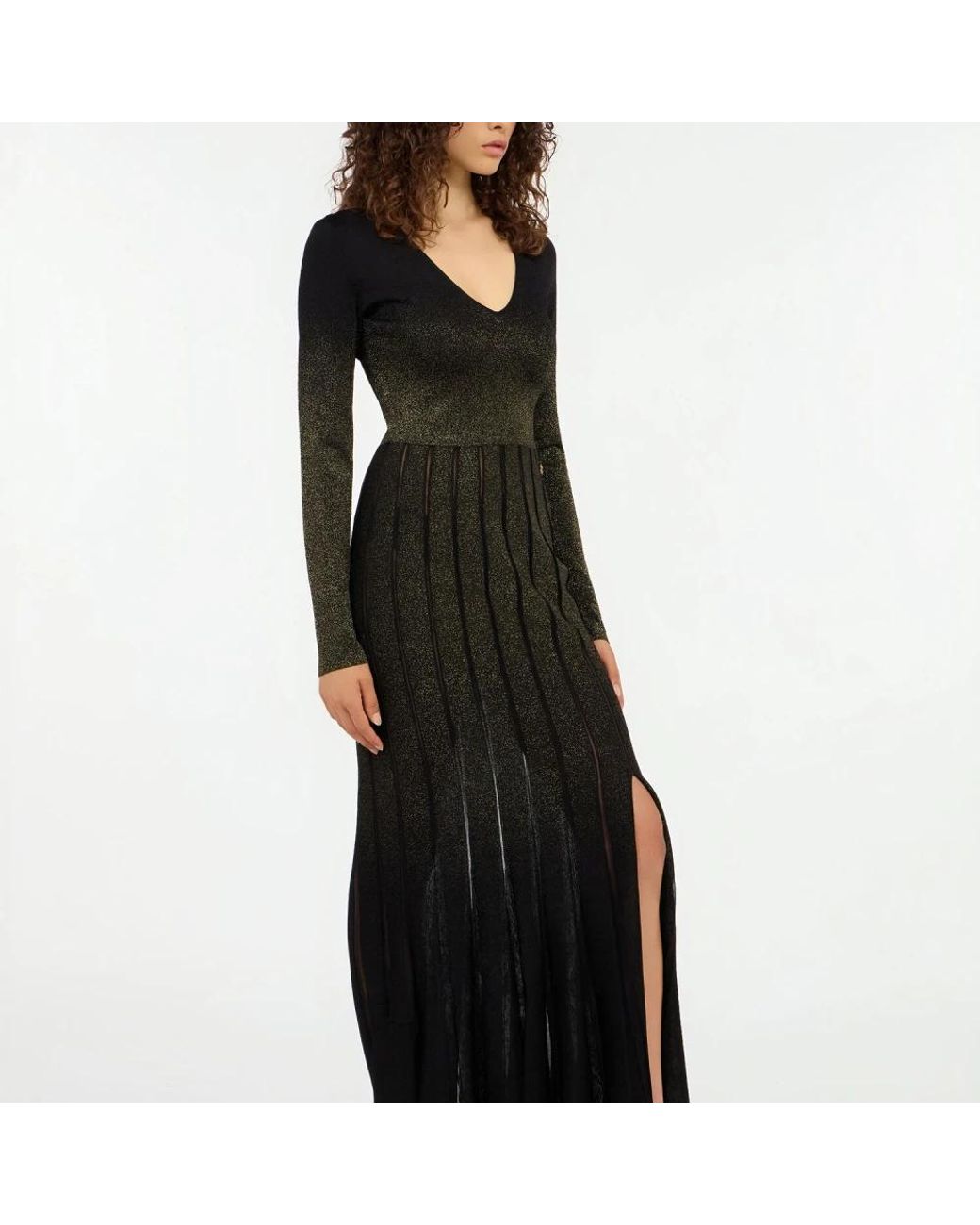 Roberto Cavalli Black Gowns