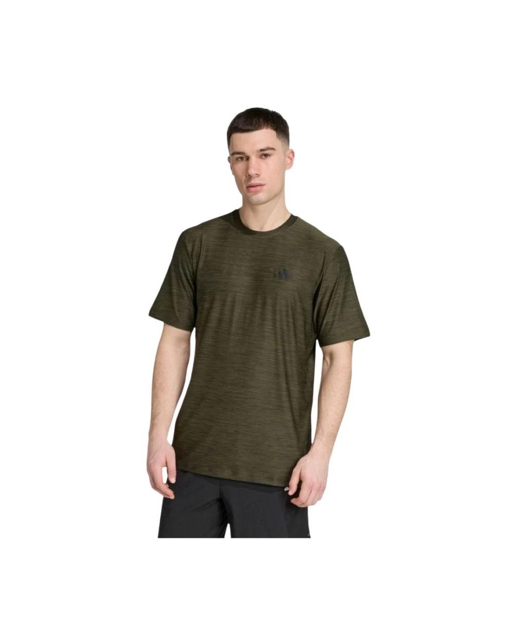 Adidas Train Essentials Stretch T-Shirt in het Green voor heren