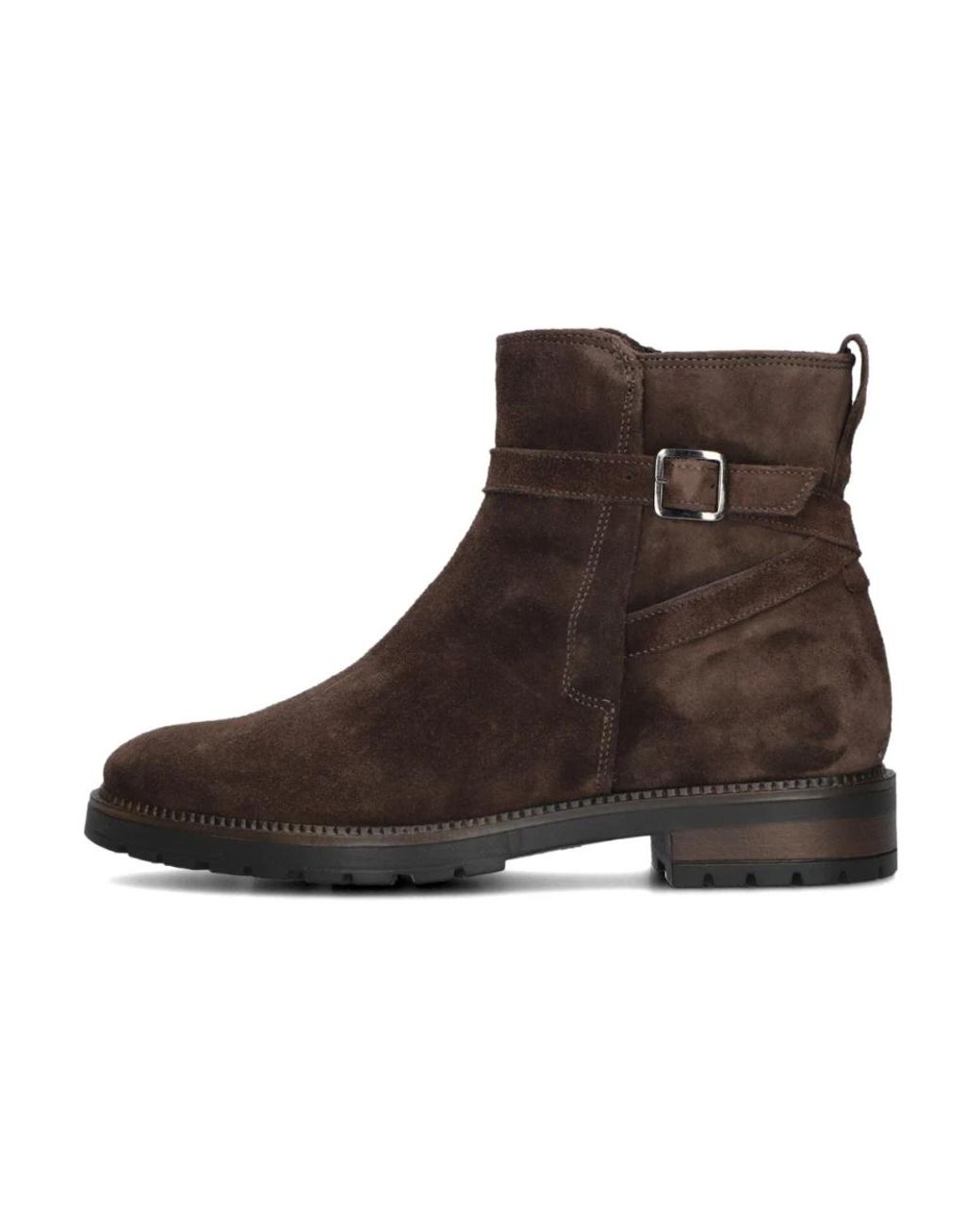 Notre-v Schoenen ,Bruin ,Leer Bruine Enkellaarsjes in het Brown