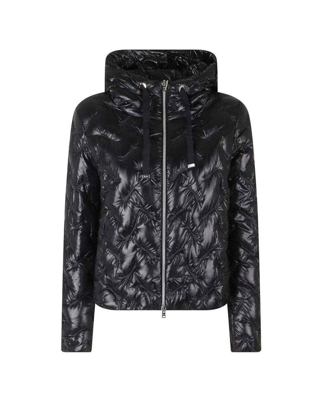 Winter Jackets Herno en coloris Black