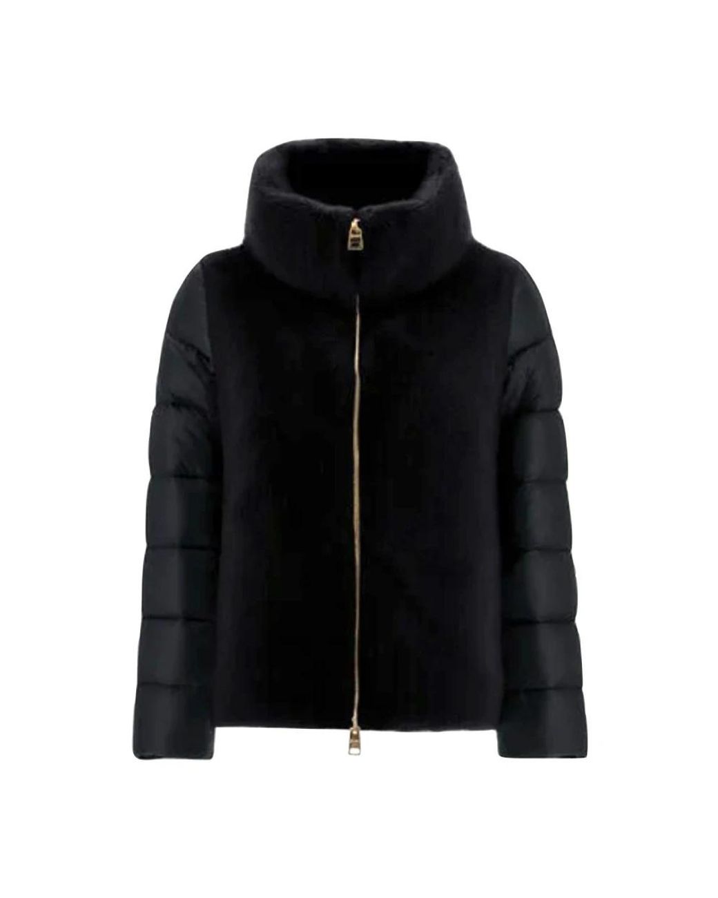 Down Jackets Herno en coloris Black