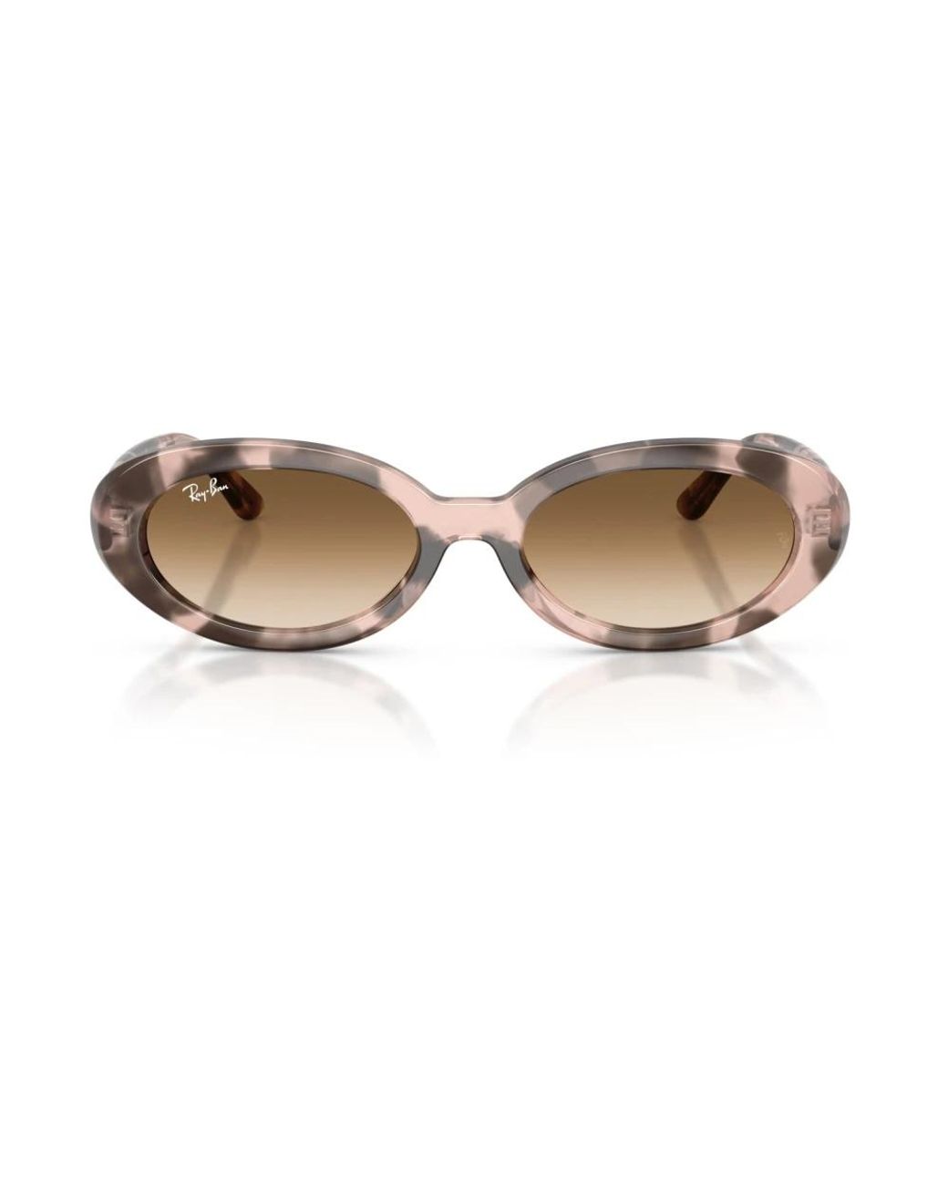 Ray-Ban Brown Sunglasses