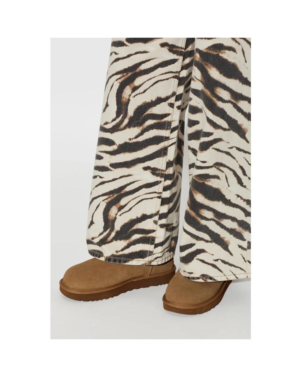 Winter Boots Ugg de color Brown