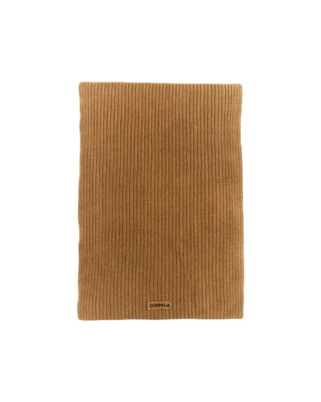 Pinko Brown Winter Scarves