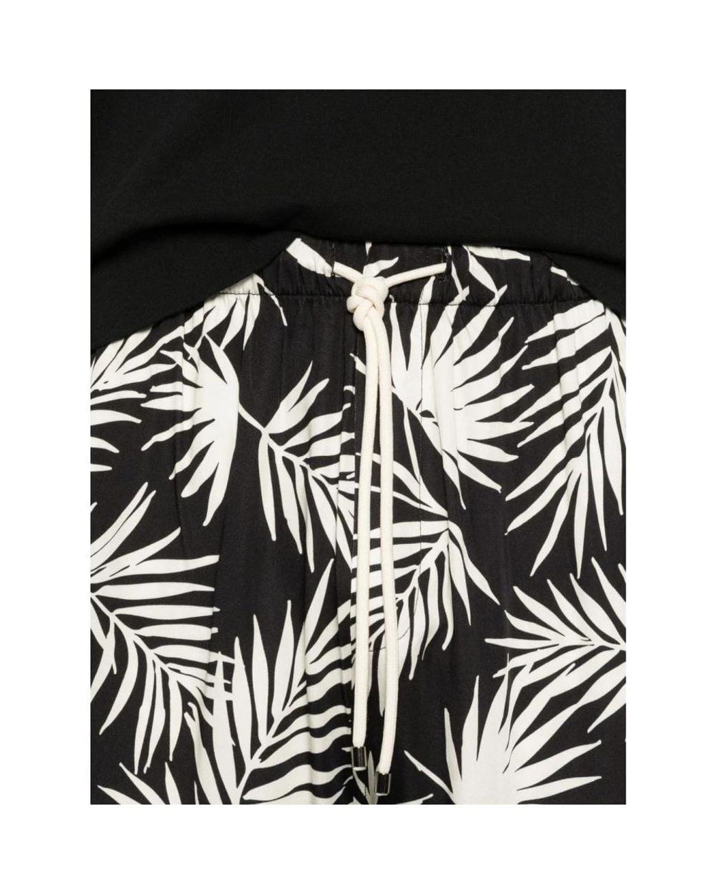 Laneus Black Casual Shorts for men
