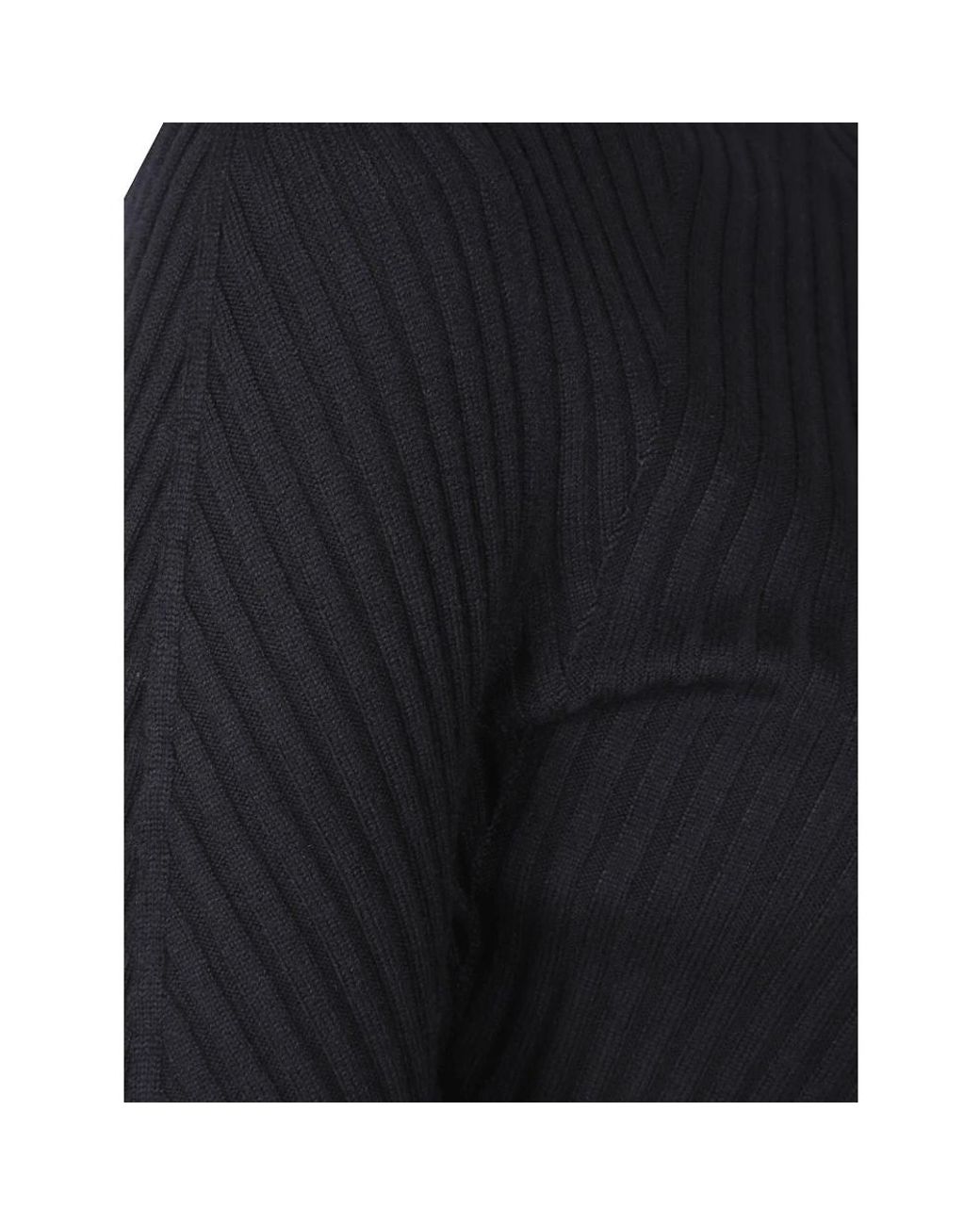 Victoria Beckham Blue Turtlenecks
