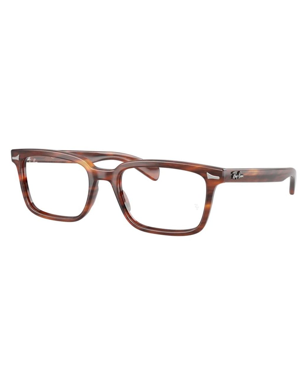 Ray-Ban Brown Glasses