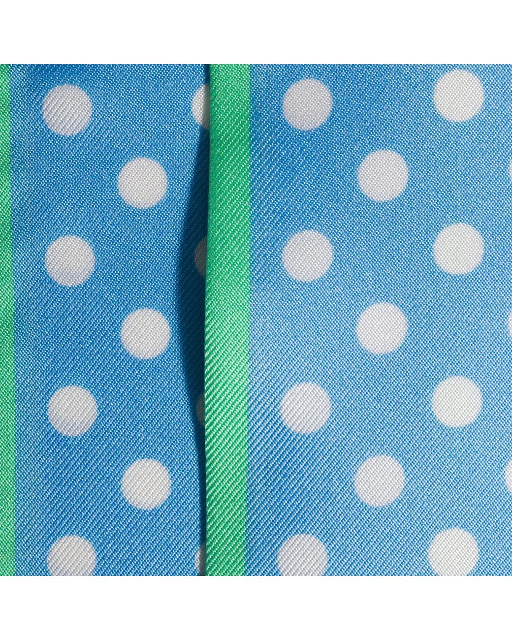 Miu Miu Blue Printed Twill Scarf