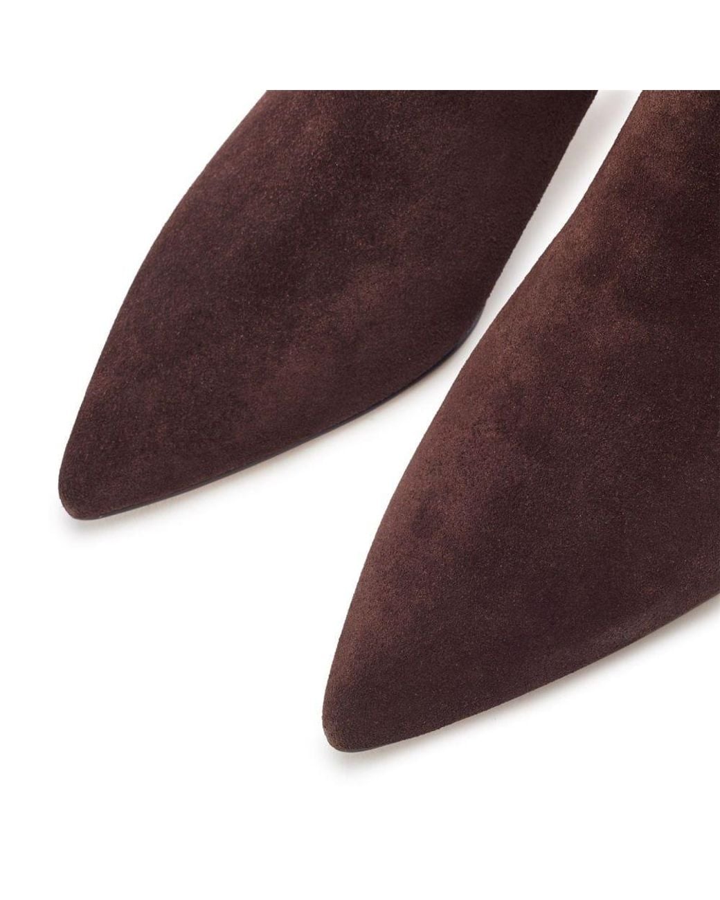 Moda In Pelle Purple Prismara Dark Suede