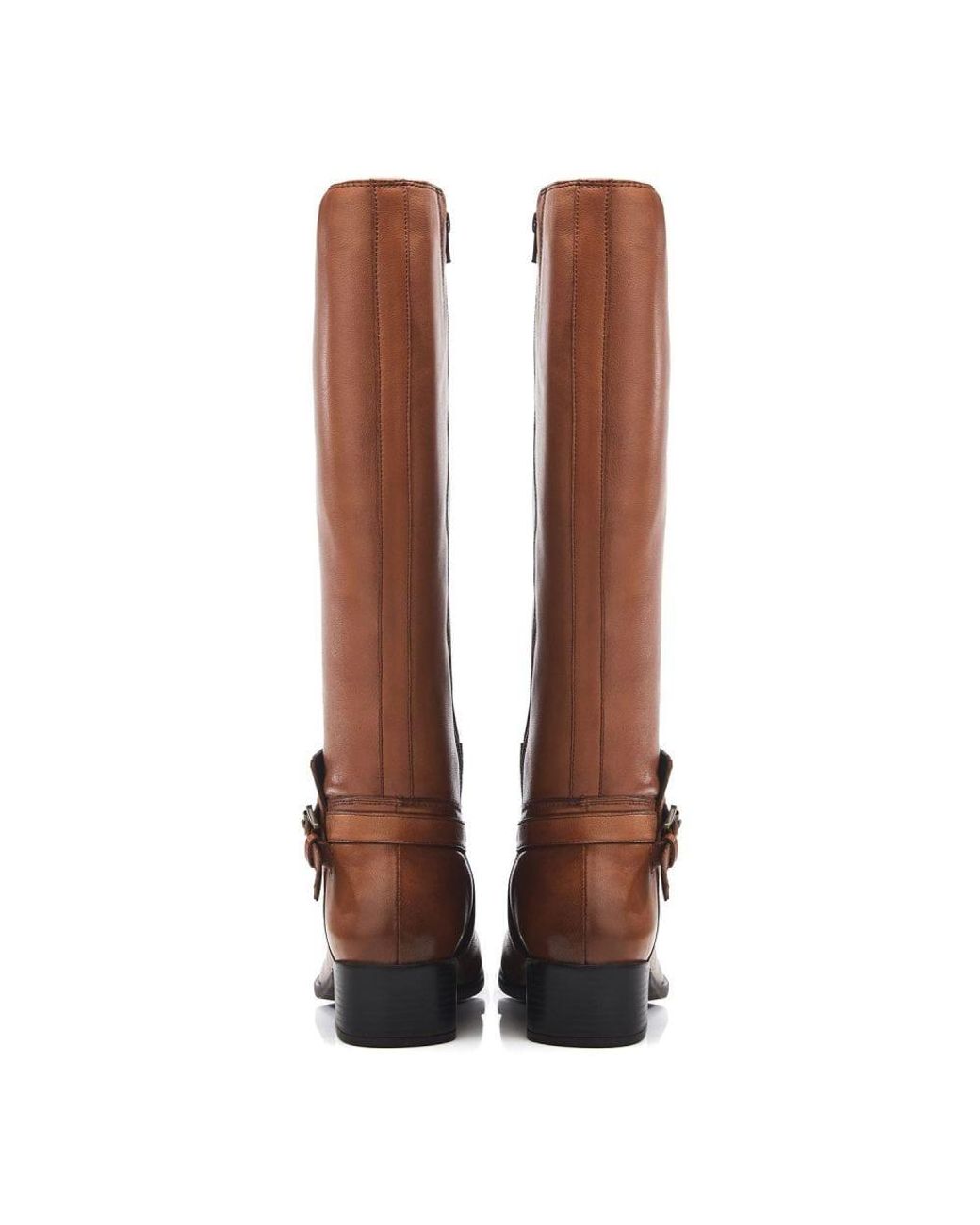 b.soleful Brown B.Venus Leather