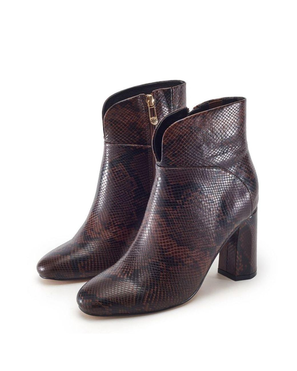Moda In Pelle Purple Percival Dark Snake Print